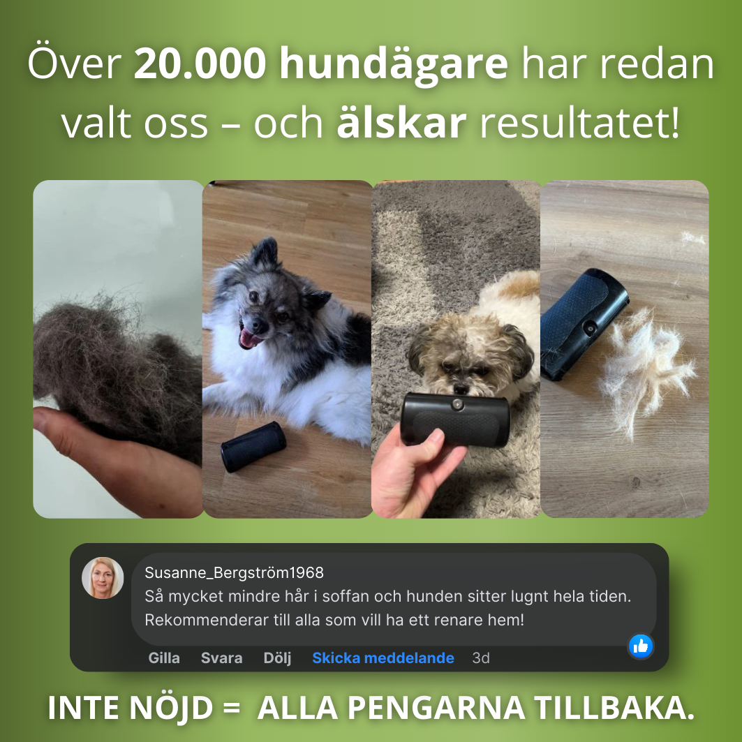Hundborsten som fungerar™ – Skonsam vård, mindre fällning