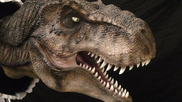 JurassicWall – Realistisk 3D-design med handmålade detaljer