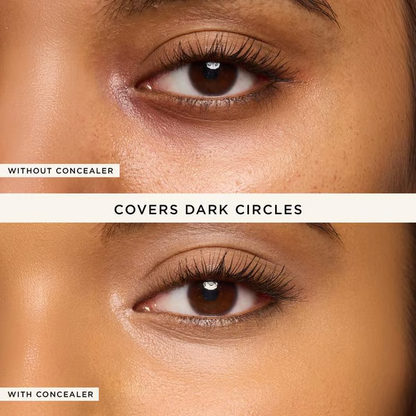 3-in-1 Concealer & Highlighter
