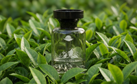 Morgondimma Longjing