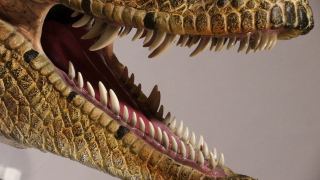 JurassicWall – Realistisk 3D-design med handmålade detaljer