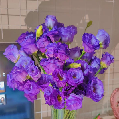 LättOdlad – Mångsidig och tålig Eustoma