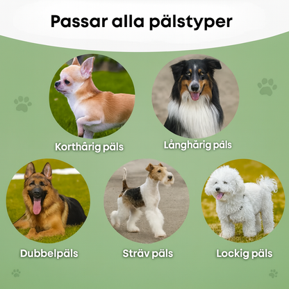 SheddyGone™ – Hundborsten som verkligen fungerar