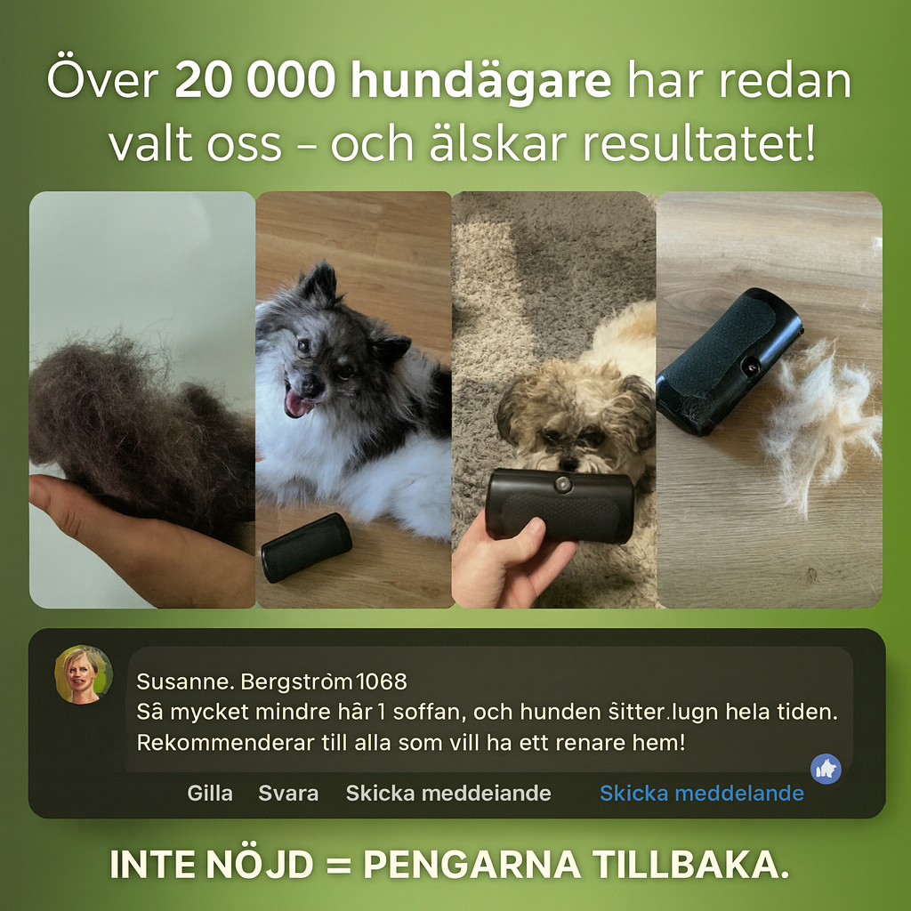 SheddyGone™ – Hundborsten som verkligen fungerar
