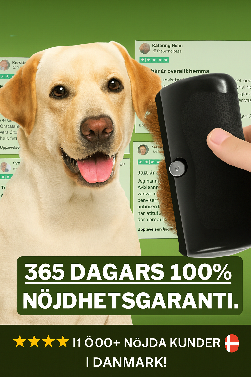 SheddyGone™ – Hundborsten som verkligen fungerar