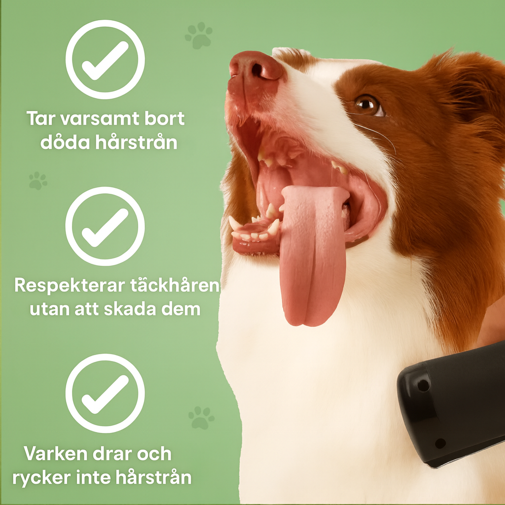 SheddyGone™ – Hundborsten som verkligen fungerar