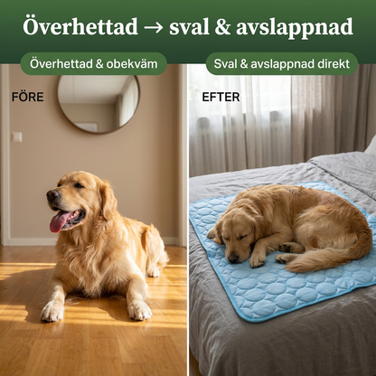 SjälvKyll – Aktiveras utan kyla eller el
