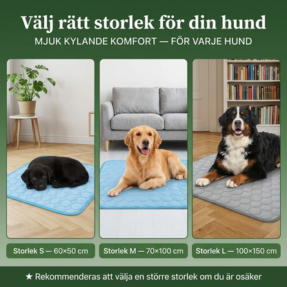 SjälvKyll – Aktiveras utan kyla eller el
