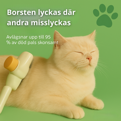 FurMagic™ – För en friskare och renare päls