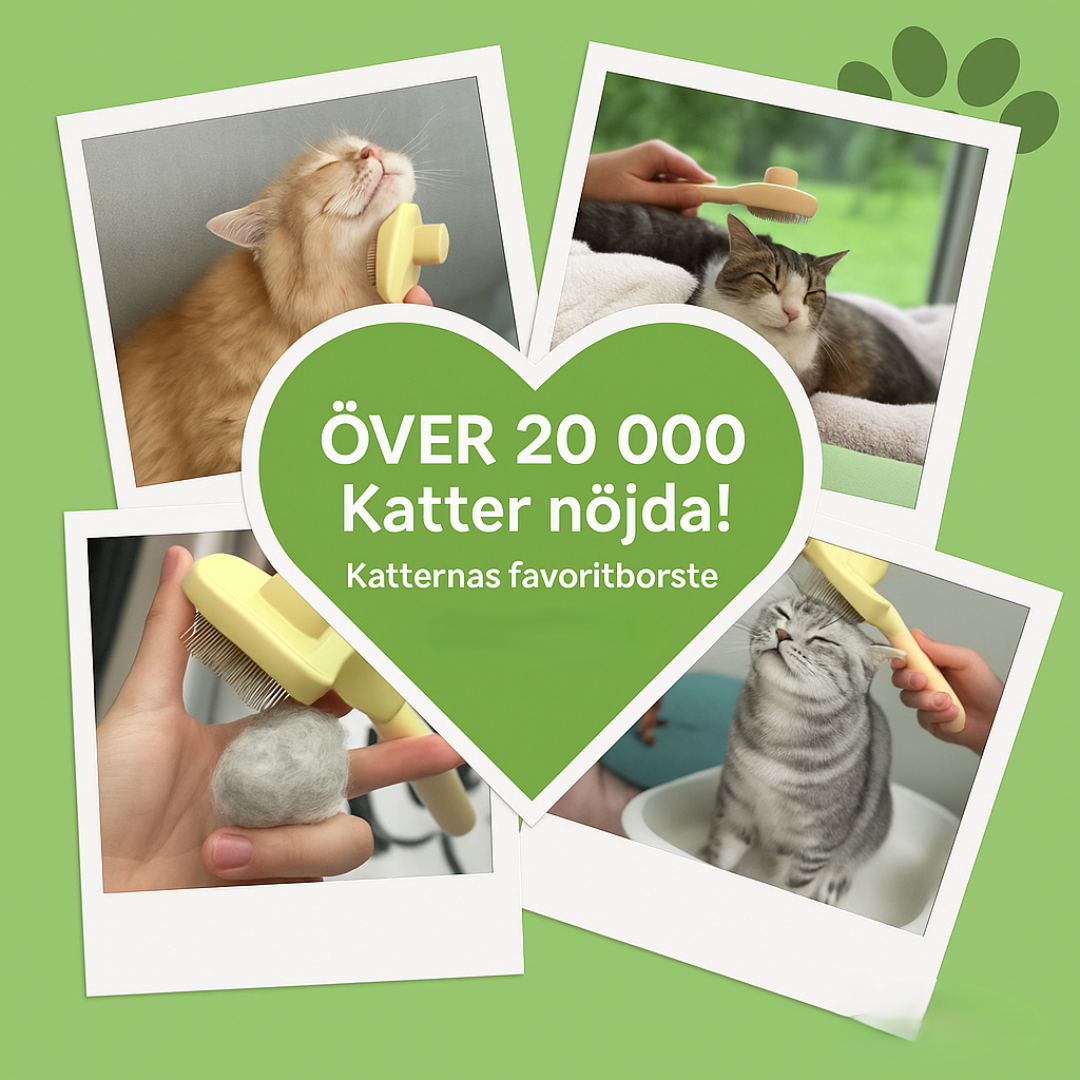MjukaPäls Borsten - KATTBORSTEN SOM STOPPAR FÄLLNING OCH HÅLLER HEMMET RENT