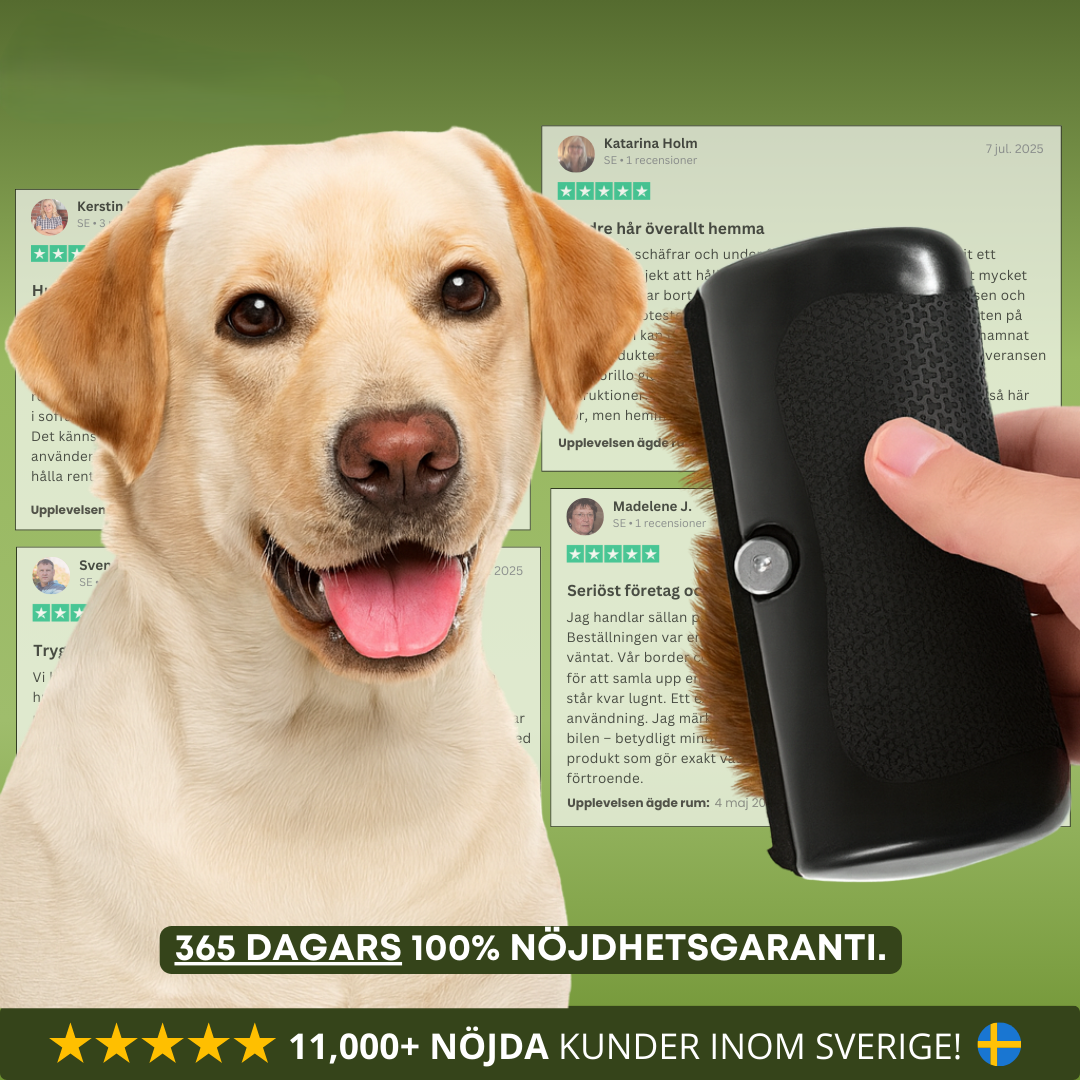 Hundborsten som fungerar™ – Skonsam vård, mindre fällning