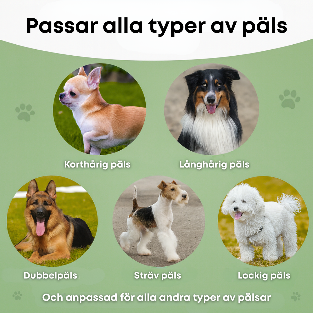 Hundborsten som fungerar™ – Skonsam vård, mindre fällning