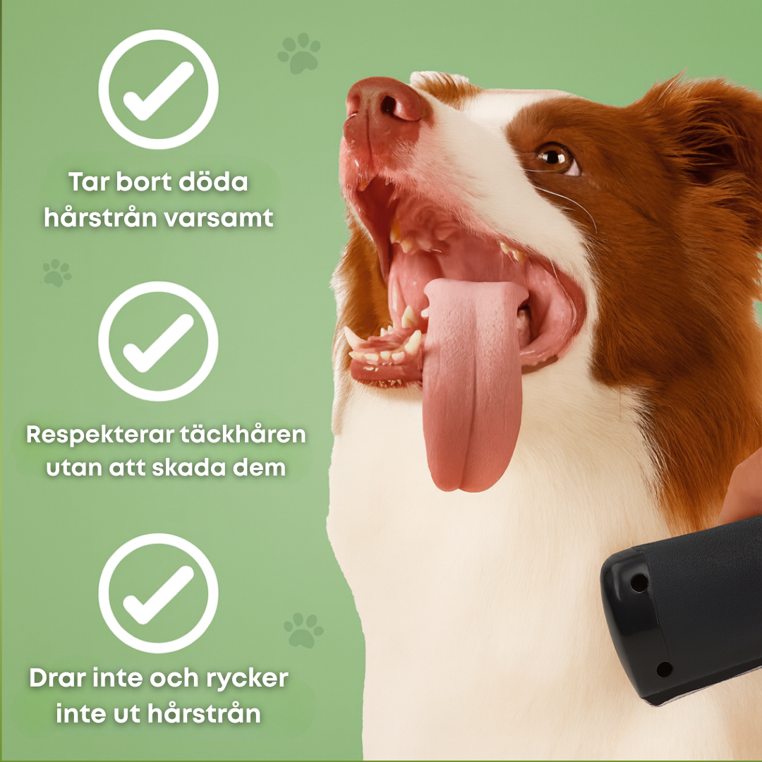 Hundborsten som fungerar™ – Skonsam vård, mindre fällning