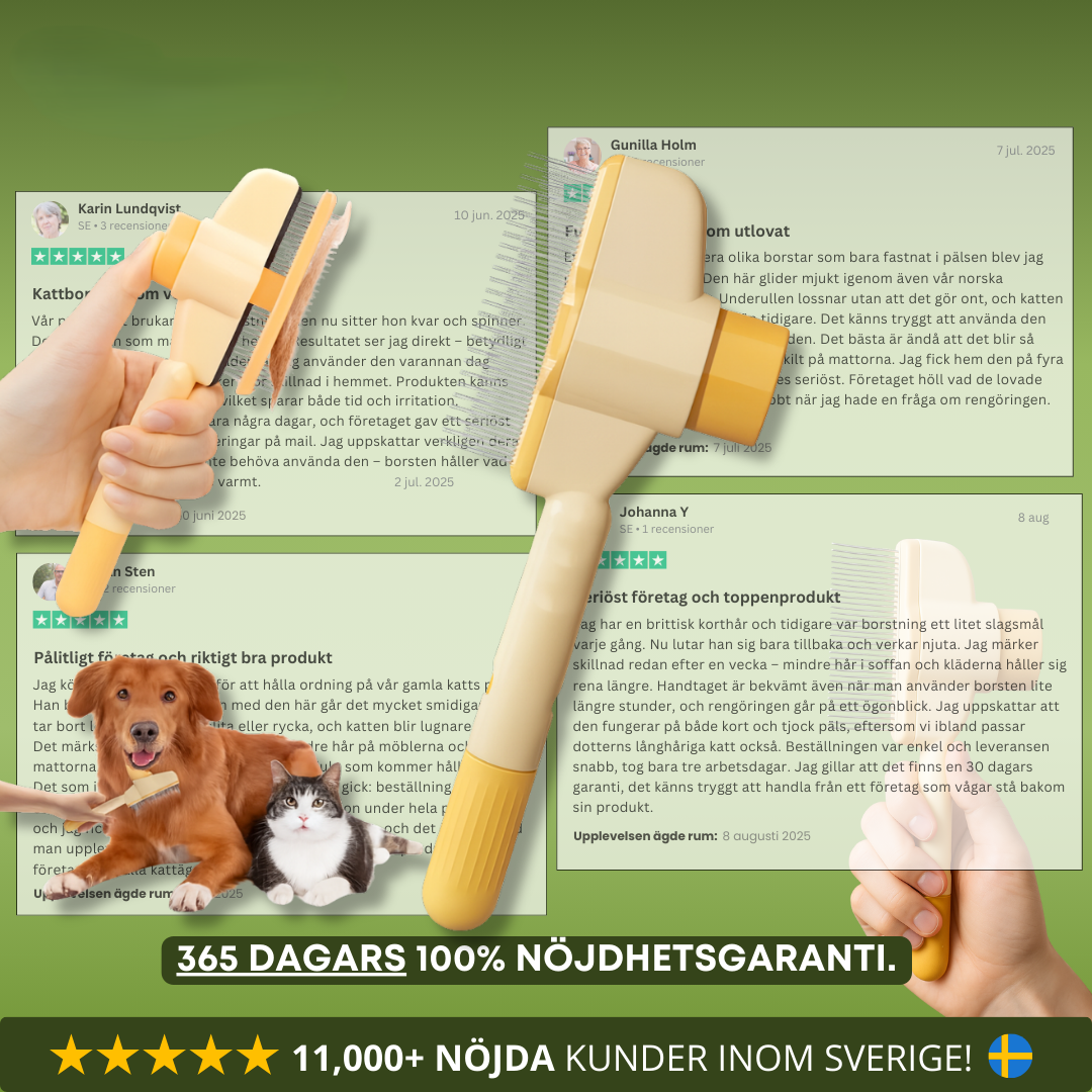 MjukaPäls Borsten - KATTBORSTEN SOM STOPPAR FÄLLNING OCH HÅLLER HEMMET RENT