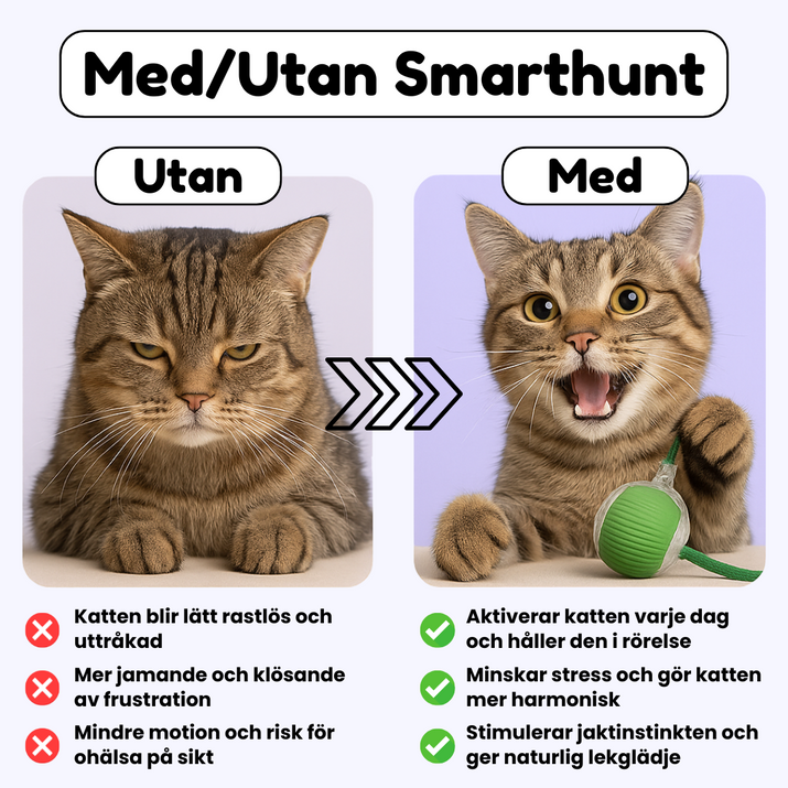 SmartHunt™ – Aktiv lek, mindre stress, en lyckligare katt