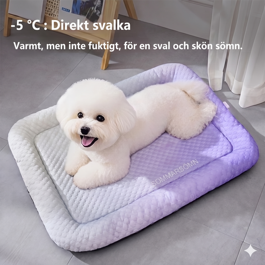 SvalTass – Omedelbar svalka