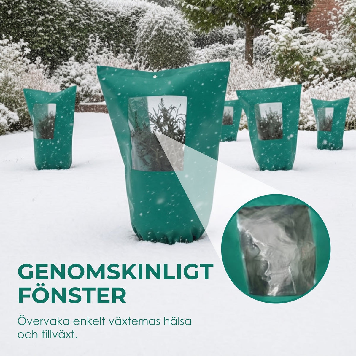FrostVakt – Rädda dina växter från kylan