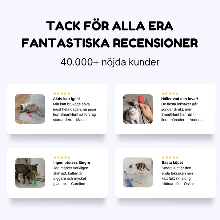 SmartHunt™ – Aktiv lek, mindre stress, en lyckligare katt