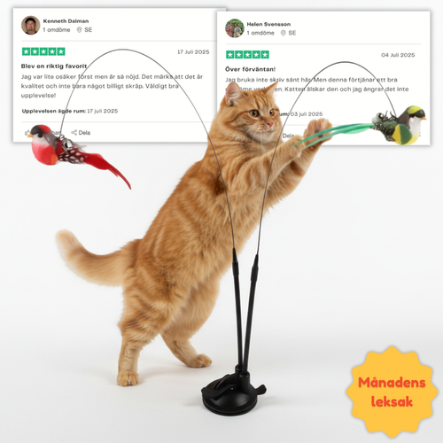 Swiftie™ – Äkta jaktupplevelse, varje dag