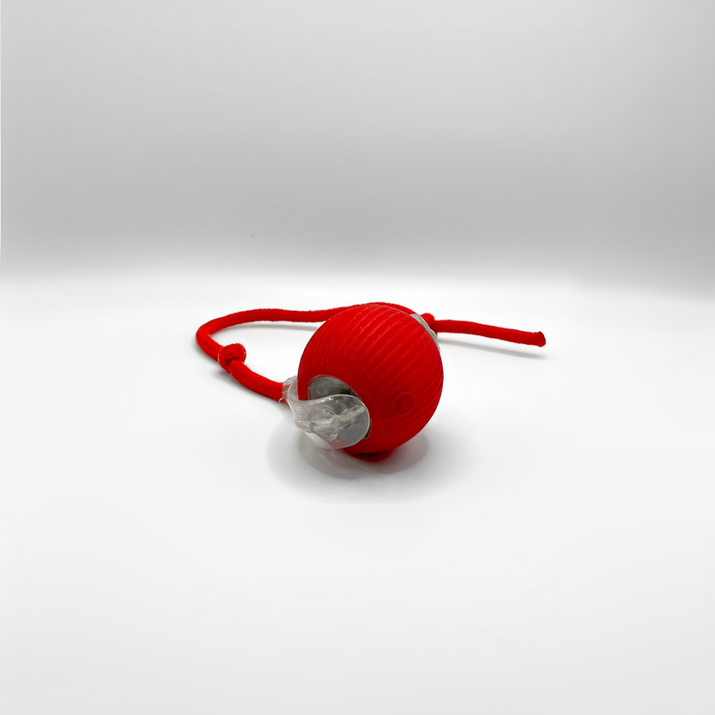 SmartHunt™ – Aktiv lek, mindre stress, en lyckligare katt