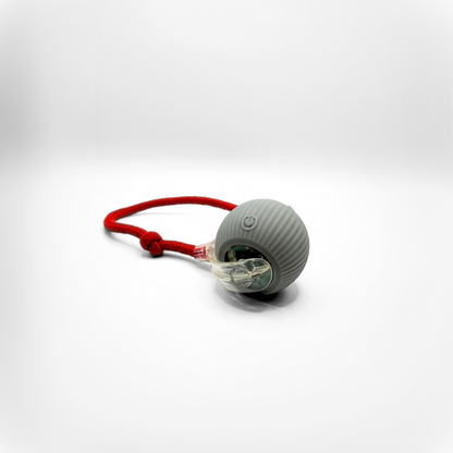 SmartHunt™ – Aktiv lek, mindre stress, en lyckligare katt