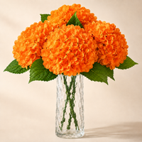 Orange och Fall