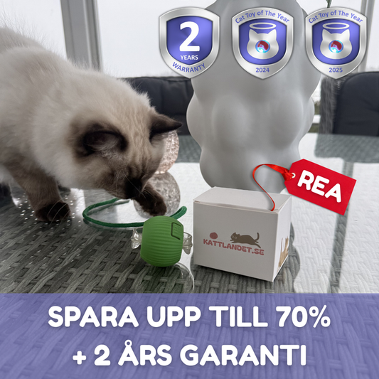 SmartHunt™ – Aktiv lek, mindre stress, en lyckligare katt