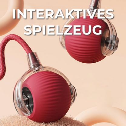 Interaktives Spielzeug