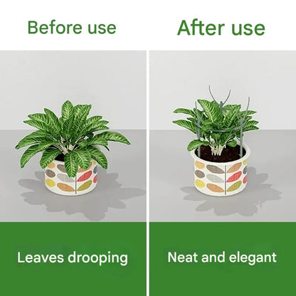 🌿Stödram för gröna växter i trädgården