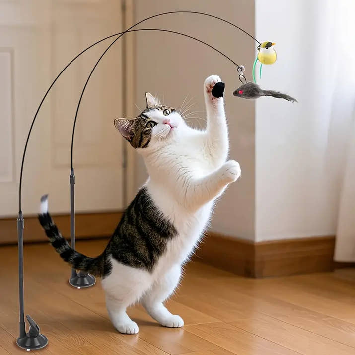 Swiftie™ – Äkta jaktupplevelse, varje dag