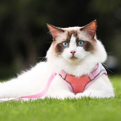 Reflekterande Anti-Rymnings sele för Katt med Koppel